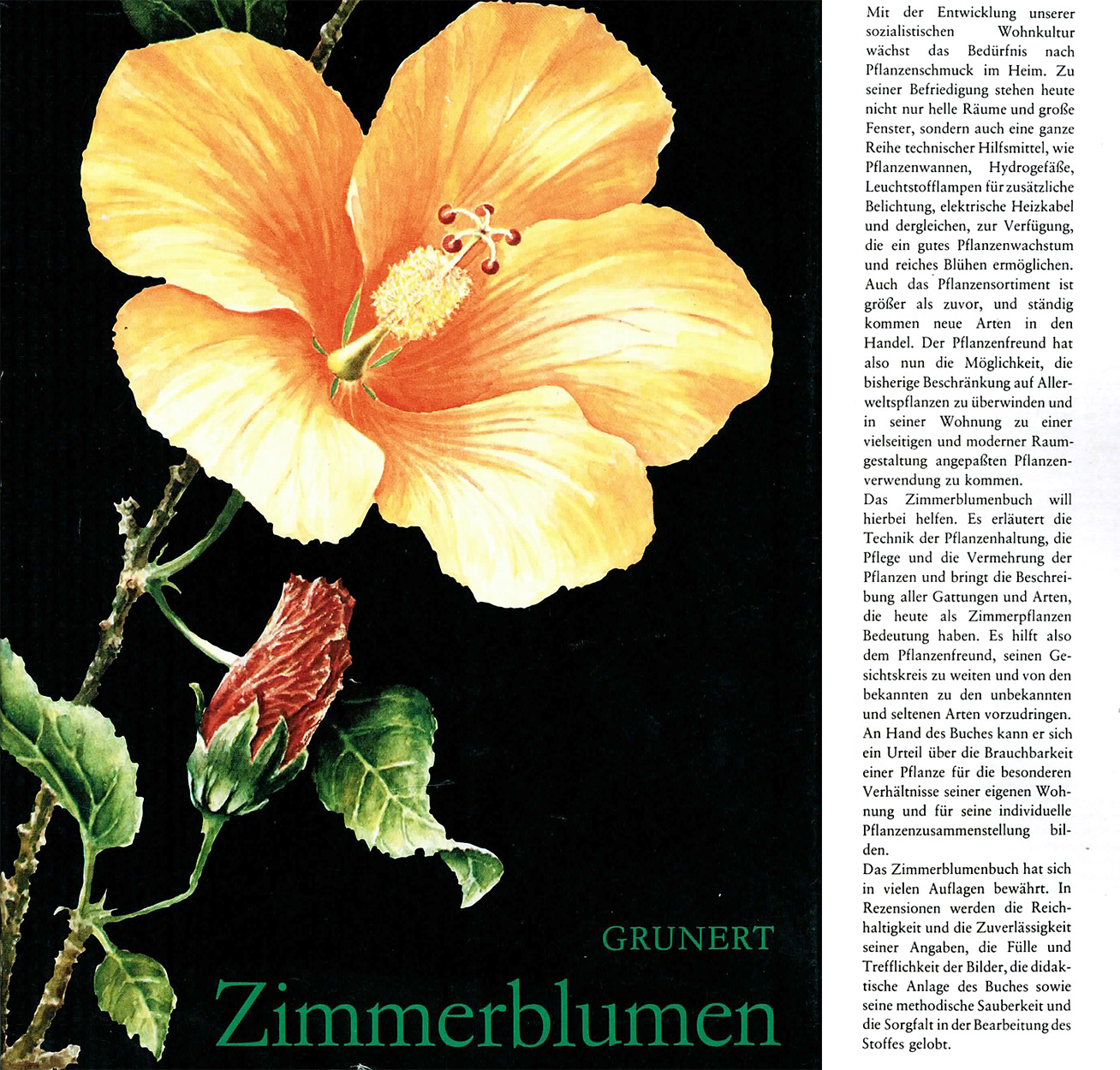 Zimmerblumen - Grunert, Christian